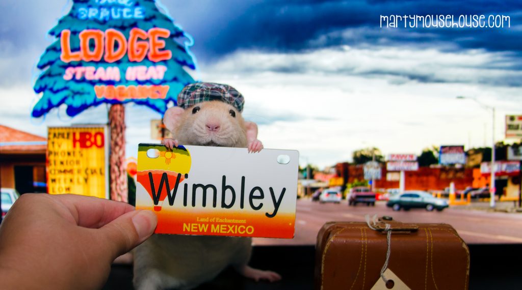 wimbley_newmexico2