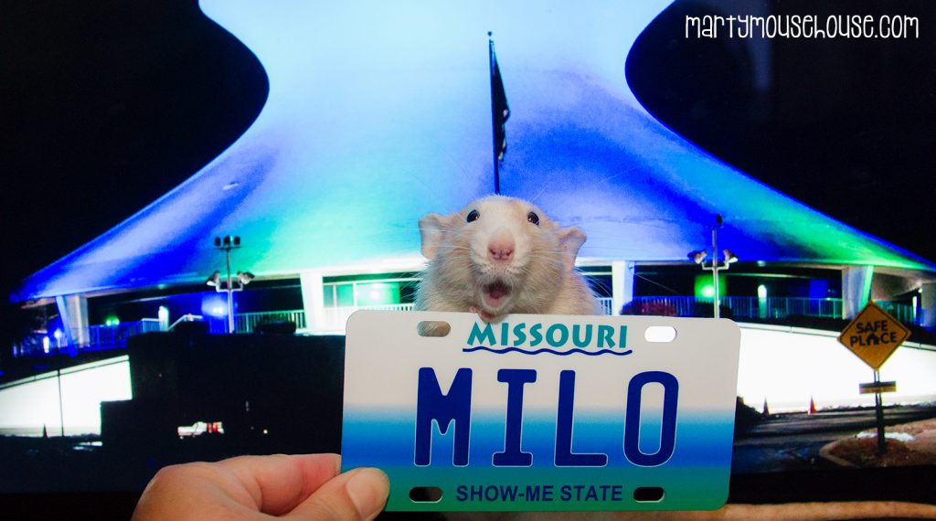 mo_milo