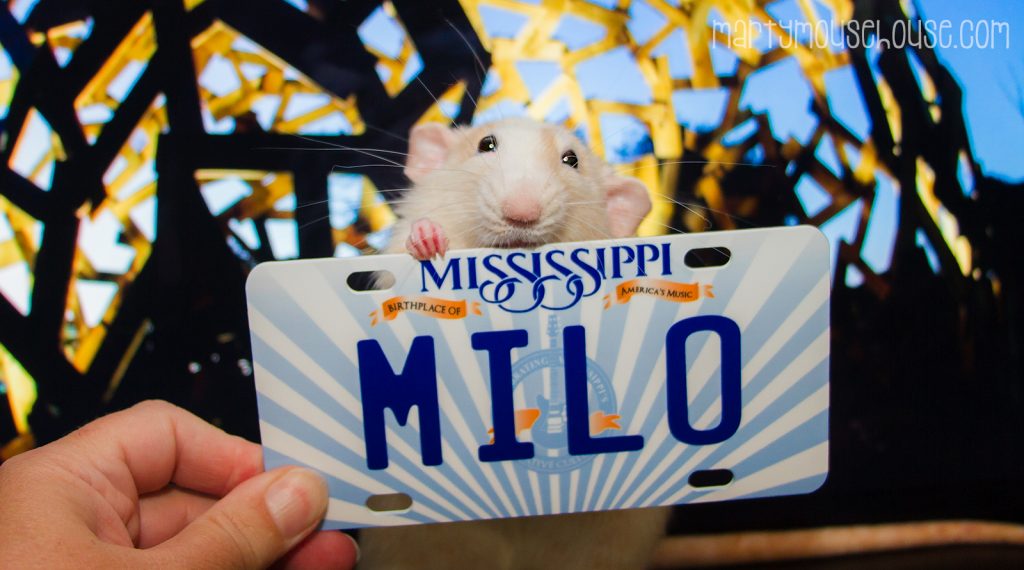 ms_milo