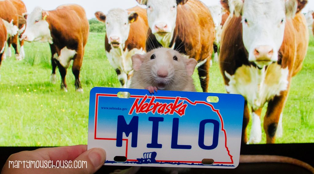 ne_milo