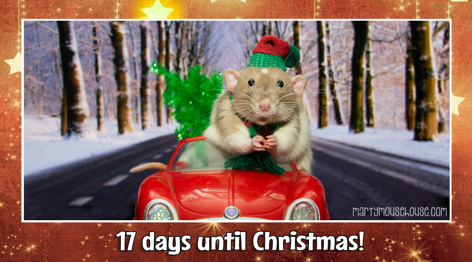 17 Days until Christmas (Bean driving a car with a Christmas tree in the backseat)