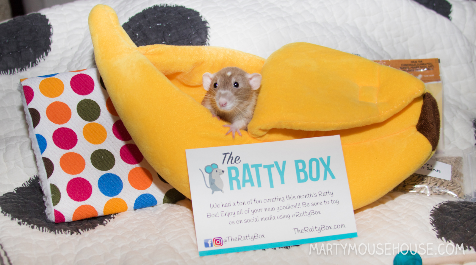 Ratty Box 5061